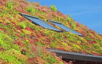 Ryecroft living roof systems