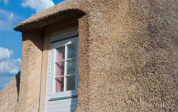 Ryecroft thatch roof disadvantages