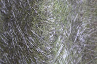 Ryecroft fibreglass roof work